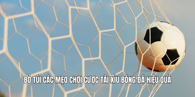 Cược Tài Xỉu Bóng Đá| Bí Quyết Tăng Tỷ Lệ Thắng Cho Newbie Bỏ túi các mẹo chơi cược tài xỉu bóng đá hiệu quả