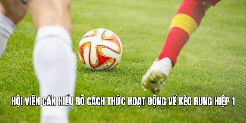 Kèo Rung Hiệp 1 Là Gì? Tại Sao Dễ Ăn Nếu Biết Cách Bắt? Hội viên cần hiểu rõ cách thức hoạt động về kèo rung hiệp 1