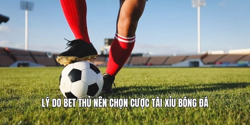 Cược Tài Xỉu Bóng Đá| Bí Quyết Tăng Tỷ Lệ Thắng Cho Newbie Lý do bet thủ nên chọn cược tài xỉu bóng đá