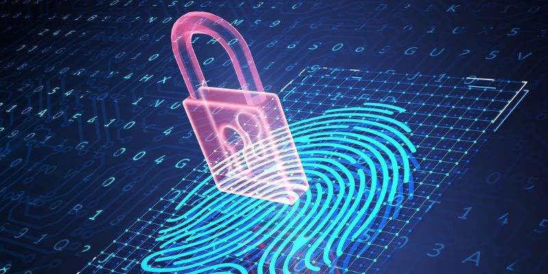 Giấy Phép Hoạt Động NEW88 Và Những Điều Người Chơi Cần Biết Phân tích tác động giấy phép tới người dùng