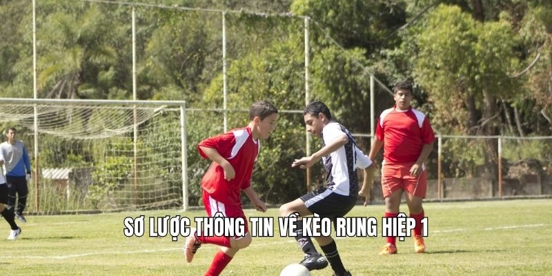 Kèo Rung Hiệp 1 Là Gì? Tại Sao Dễ Ăn Nếu Biết Cách Bắt? Sơ lược thông tin về kèo rung hiệp 1